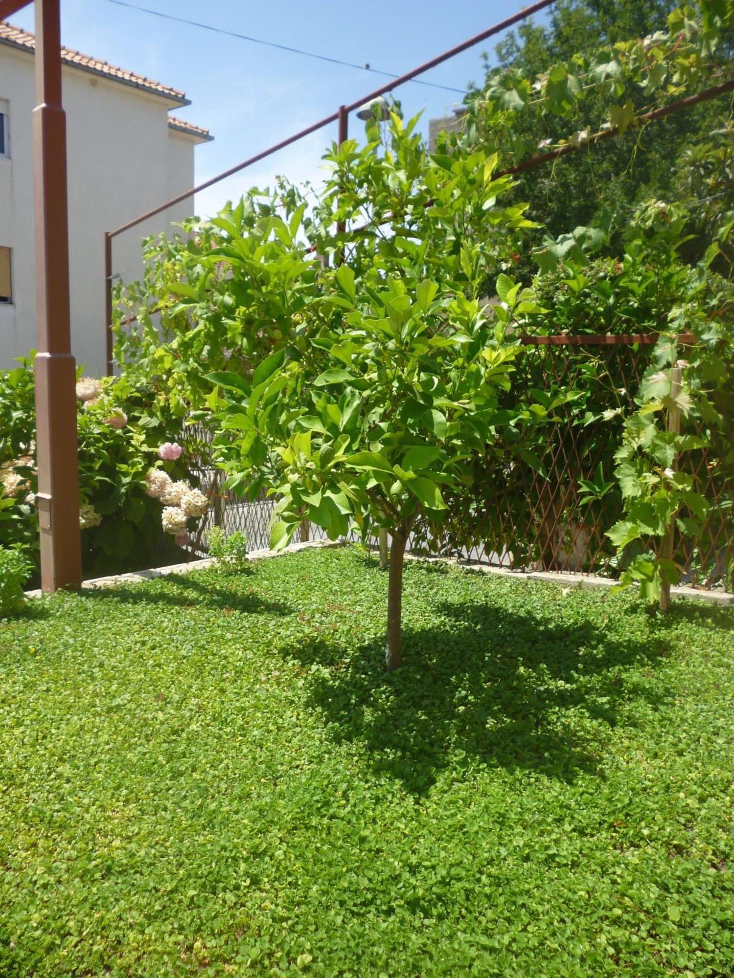 Villa Barbara Stobrec Ngoại thất bức ảnh